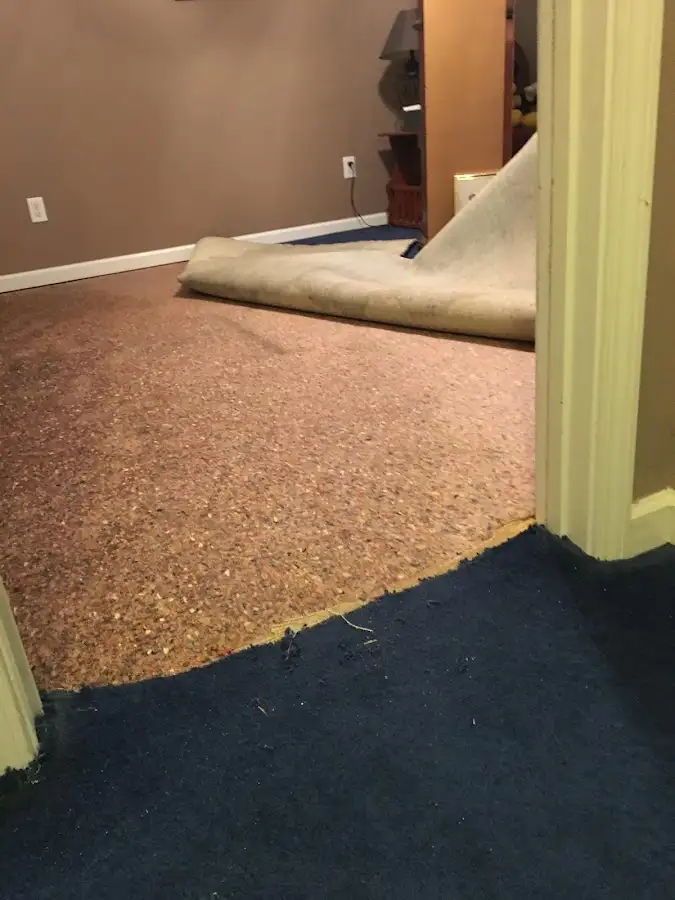 Carpet pad removal revealing water damage during Drying & Dehumidification in Schuylkill